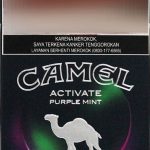 Camel Purple Mint