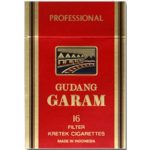 Gudang Garam Professional