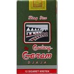 Gudang Garam Djaja