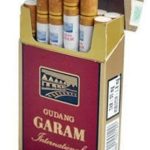 Gudang Garam International